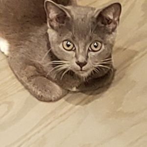 Meet your Posher, Kenny